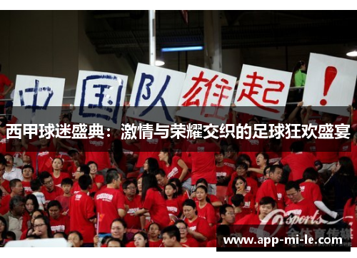 西甲球迷盛典：激情与荣耀交织的足球狂欢盛宴