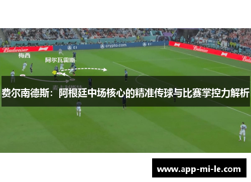费尔南德斯：阿根廷中场核心的精准传球与比赛掌控力解析