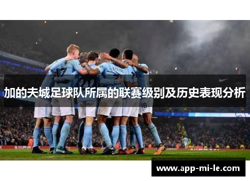 加的夫城足球队所属的联赛级别及历史表现分析