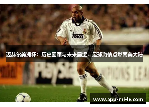 迈赫尔美洲杯：历史回顾与未来展望，足球激情点燃南美大陆