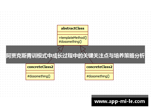 阿贾克斯青训模式中成长过程中的关键关注点与培养策略分析