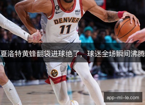 夏洛特黄蜂翻袋进球绝了，球迷全场瞬间沸腾