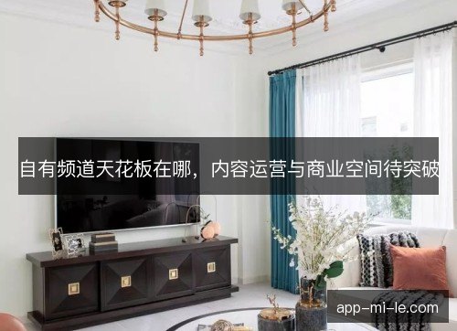 自有频道天花板在哪，内容运营与商业空间待突破